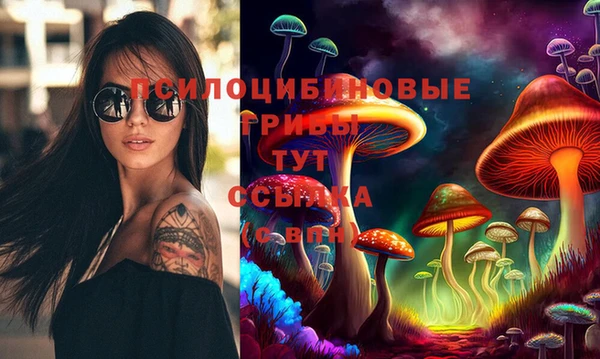 a pvp Коряжма