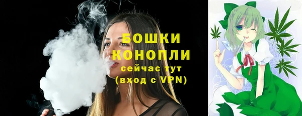 круглые Корсаков