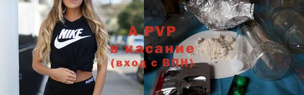 a pvp Коряжма