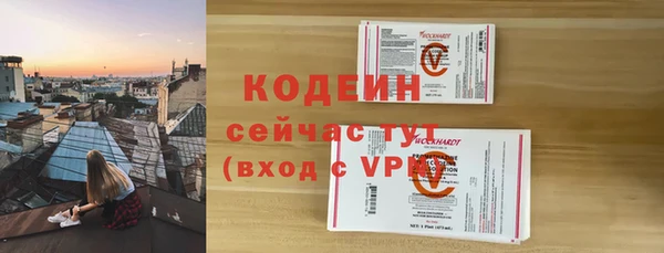 молекула духа Костерёво