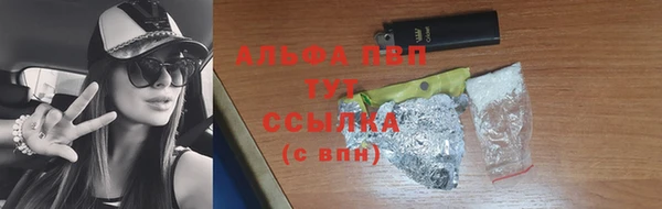 круглые Корсаков