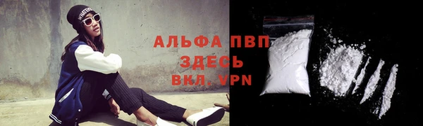 a pvp Коряжма