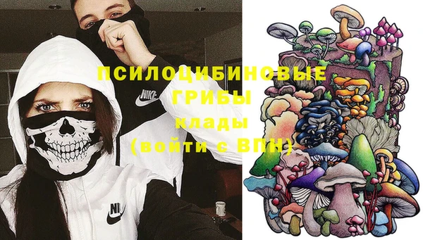 молекула духа Костерёво