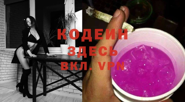 молекула духа Костерёво