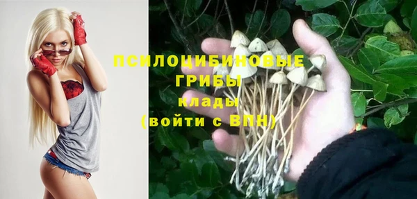 молекула духа Костерёво