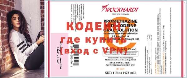 a pvp Коряжма